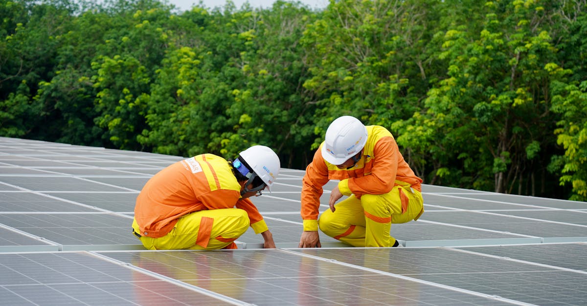 découvrez tout sur les photovoltaïques : principes, avantages, technologies et impact écologique. apprenez comment l'énergie solaire peut transformer votre consommation énergétique et contribuer à un avenir durable.