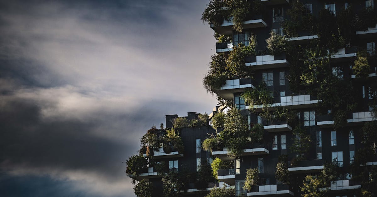 découvrez comment les villes durables favorisent un avenir écologique grâce à des solutions innovantes pour réduire les émissions de carbone, améliorer la qualité de vie et promouvoir la biodiversité. explorez des initiatives en matière de transport vert, d'énergie renouvelable et d'espaces publics respectueux de l'environnement.